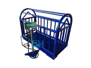cân sàn điện tử phs 8201