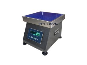 Cân điện tử B19S - Cân điện tử Phúc Hoàng - Cân giá rẻ- bảo hành uy tín chất lượng
